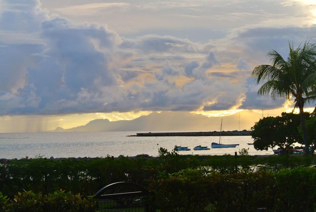 Savannah Guadeloupe Saint-Francois  Buitenkant foto