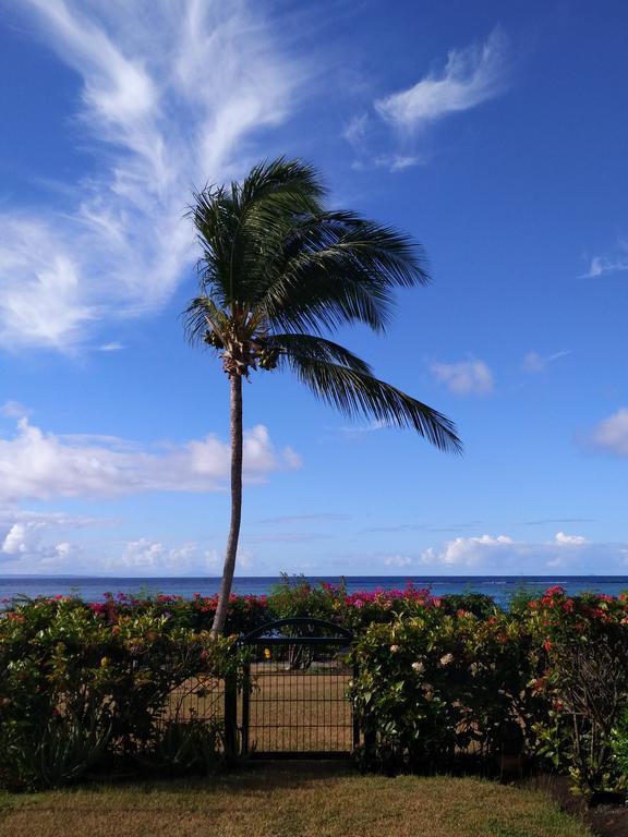 Savannah Guadeloupe Saint-Francois  Buitenkant foto